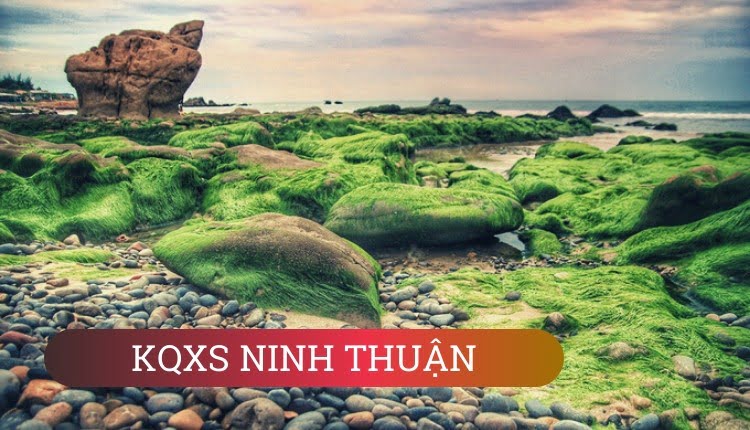 tuvancado-ket-qua-xo-so-mien-trung- Ninh Thuận