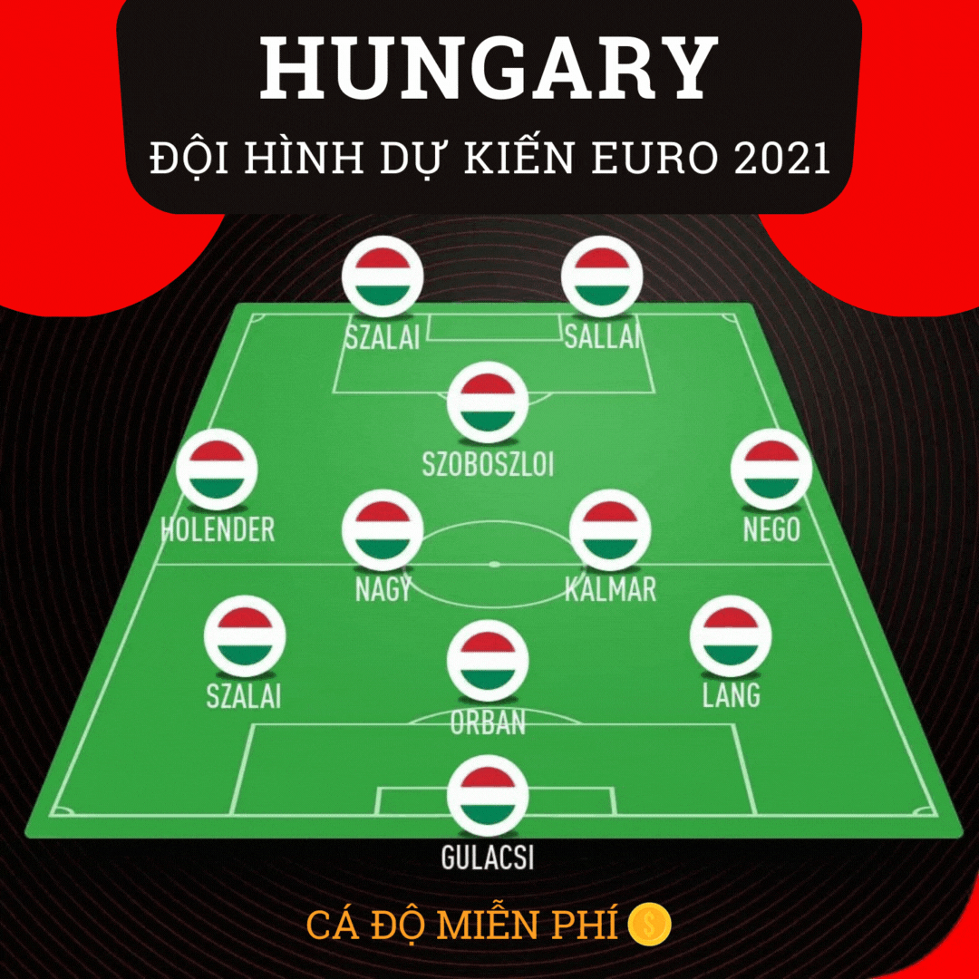 Đội hình tuyển hungary tại Euro 2021 có gì đặc biệt - cá độ miễn phí - 1