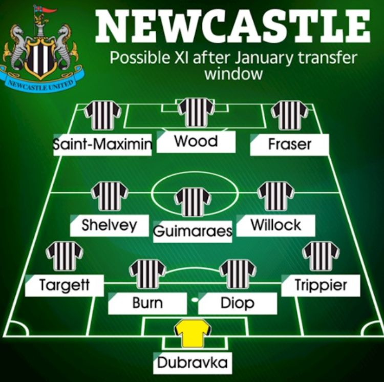 Đội hình thi đấu dự kiến của Newcastle
