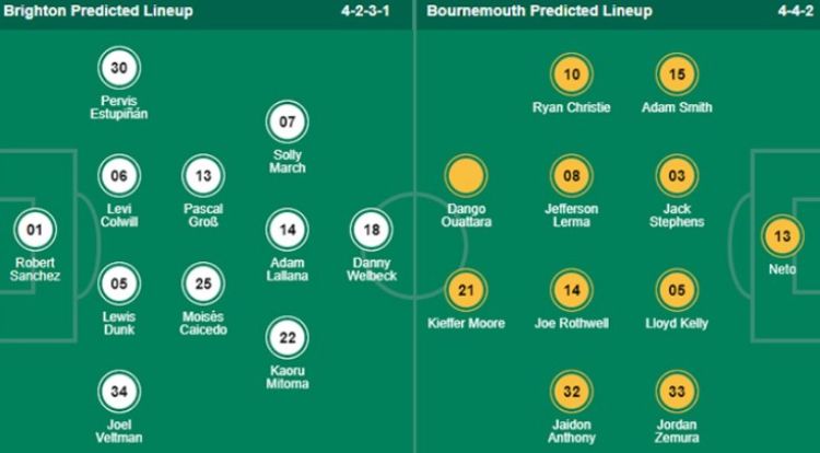 Đội hình thi đấu dự kiến giữa Brighton vs Bournemouth